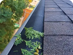 Gutter Guard Service Image